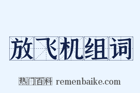 放飞机组词是什么意思的图片